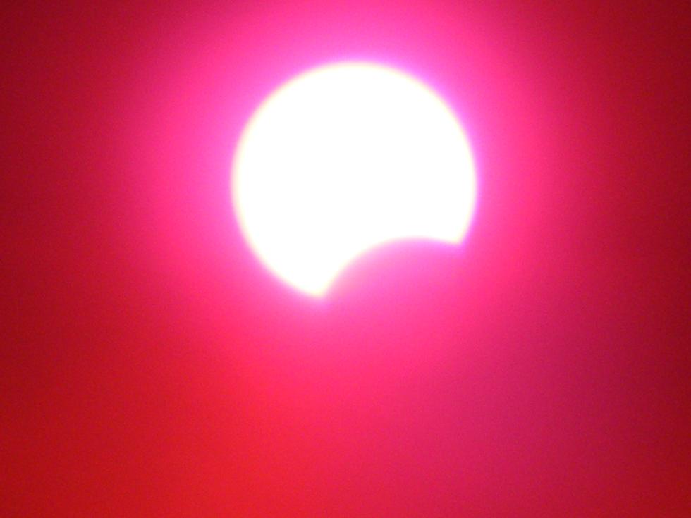 11536֡.JPG