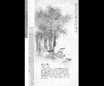 β1887꡶ͼ׶ĳ