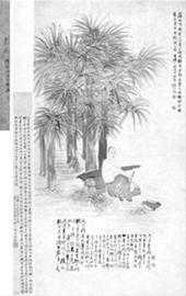 β1887꡶ͼ׶ĳ