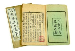 2012 軨Ů¡