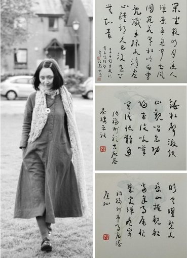 鷨ɳ