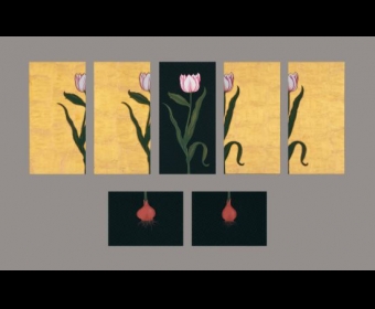 ͻ˹̹ʦ