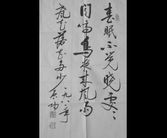 ż鷨֮