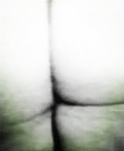 ƨ