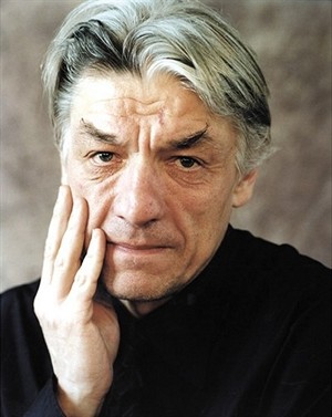ֶԡWolfgang Kubin˱
