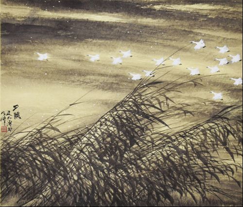 Ϧ 45cm x53cm