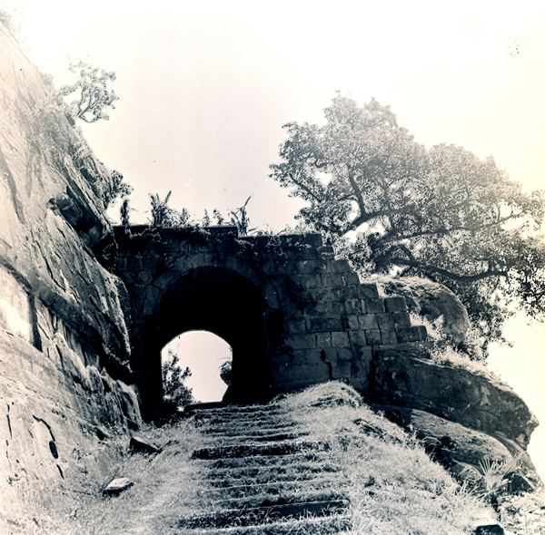 ϴĵǻš  1977