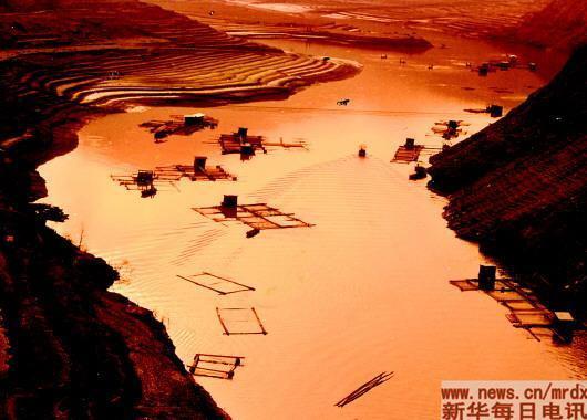 ��֦���ж�̲����������洬