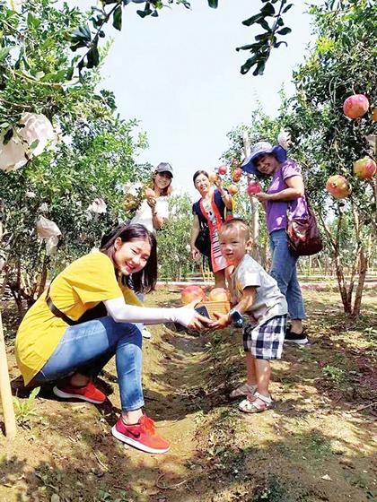 ��ʮ�������ʯ���Ļ����νڿ�Ļ