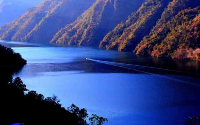 �Ĵ����Ҳ���˾ӵĳ��У����ǳɶ�������Ϊ�����⻨�ǡ���