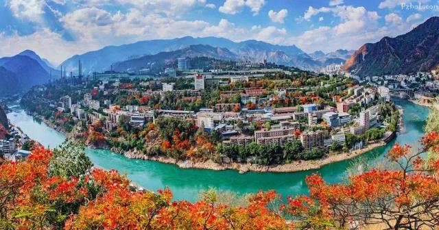 �Ĵ����Ҳ���˾ӵĳ��У����ǳɶ�������Ϊ�����⻨�ǡ���