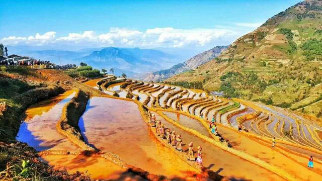 �Ĵ����Ҳ���˾ӵĳ��У����ǳɶ�������Ϊ�����⻨�ǡ���