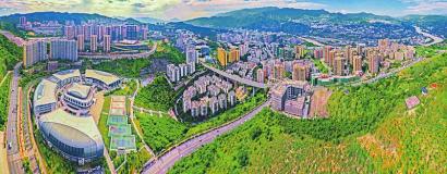 ��֦���ж������ ���� ��