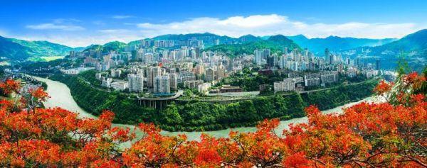 ����֦����ò