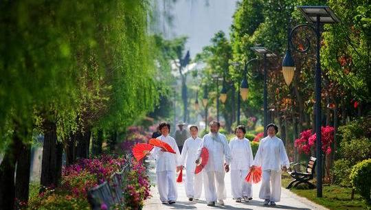 ��֦��������Ⱥ ������