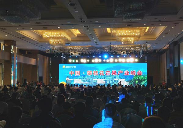 中国芒果产业发展年度报告