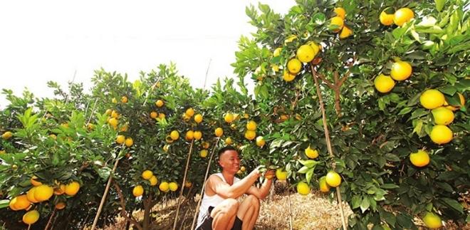 ������Ŧ�ɶ���ȳ�������