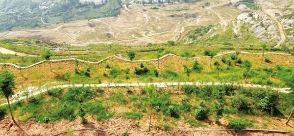 矿山生态修复 为“国宝”让路