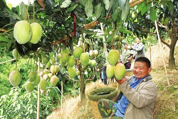 ��֦��������â���г�����