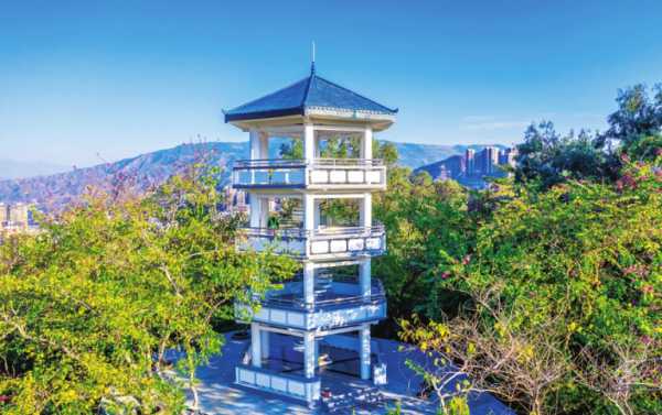 ͼΪװ�޺����֦����԰�ʻ���