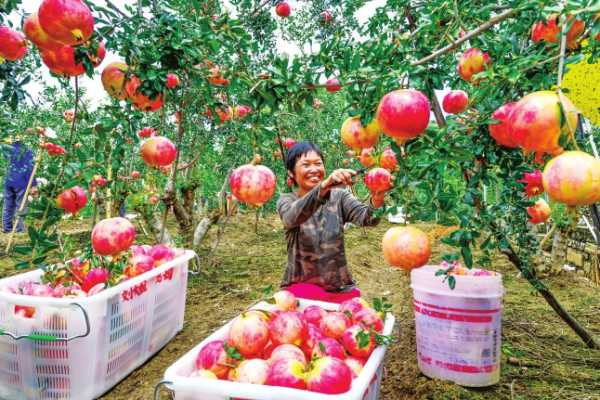 ���������ܷ��յ�ϲ��