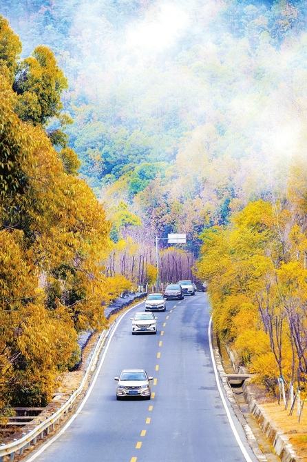 云雾中的机场路