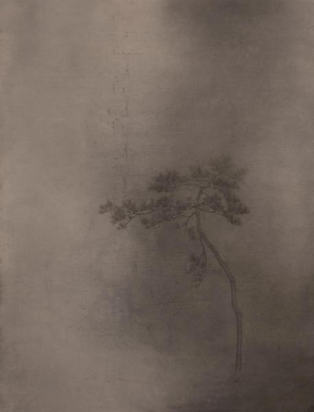 Ϊڡ֮45x34cm  2020  콨