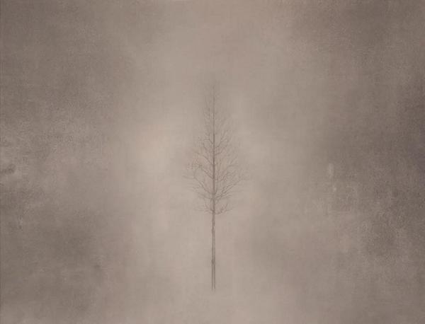 Ϊڡ֮200x250cm  2019 콨