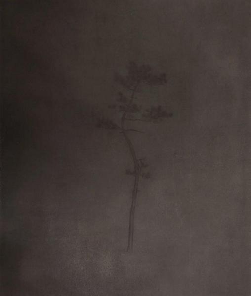 Ϊڡ֮250X200cm  2019 콨