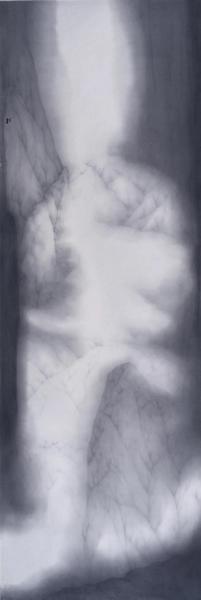  205x70cm ֽˮī 2019 