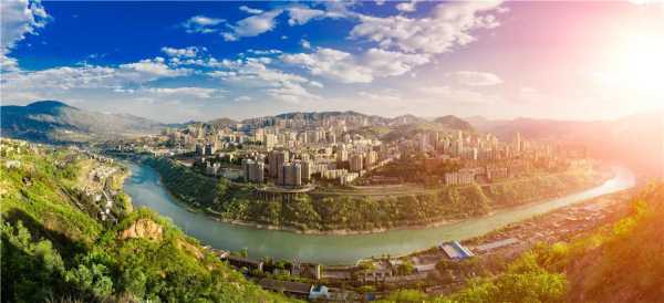 ������֦����������55����