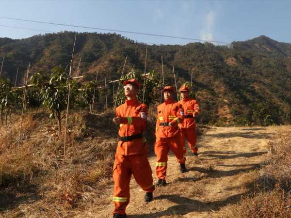 ��֦����ɭ������֧��ָսԱ����ɽ��Ѳ����