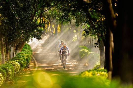 ����֦��������������+�˶���