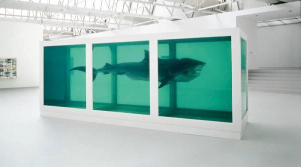 Damien Hurst,The Phys­i­cal Impos­si­bil­i­ty of Death in the Mind of Some­one Liv­ing, 1991, Tiger shark, glass, steel and formalde­hyde solu­tion, 213 x 518 x 213 cm 83  204  83 , The Saatchi Gallery