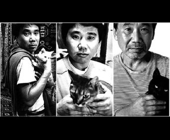 ϴ72꣬ߴ磬ڳˢ游Ǻ