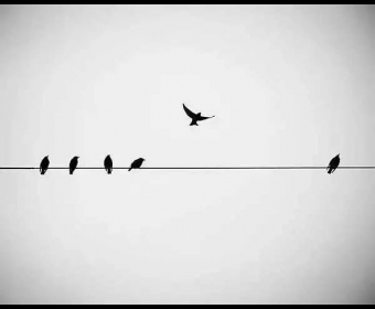 ʫҪ£Ҫ