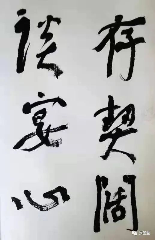 ŷ  鷨ֲ