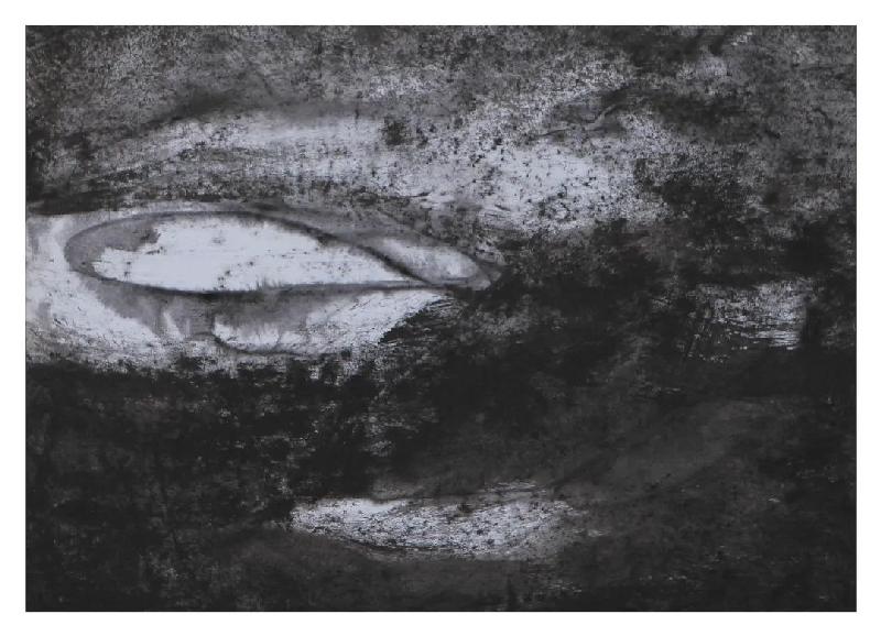 âЬ 2920cm ֽˮī 2010